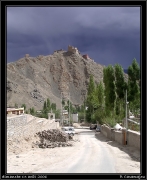 Leh (11)